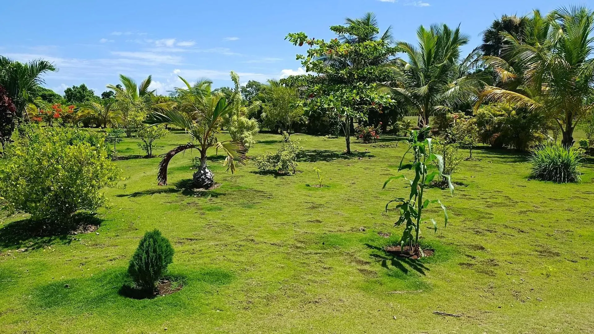 Eco Lodges & Camping Cooper Ranch Macao Beach Punta Cana 0*,  Dominican Republic