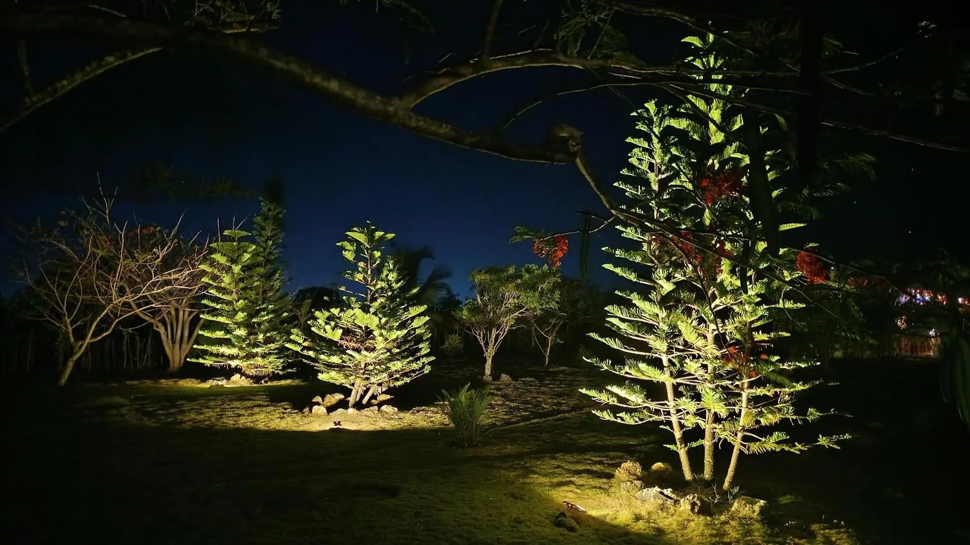 Eco Lodges & Camping Cooper Ranch Macao Beach Punta Cana 0*,  多米尼加共和国