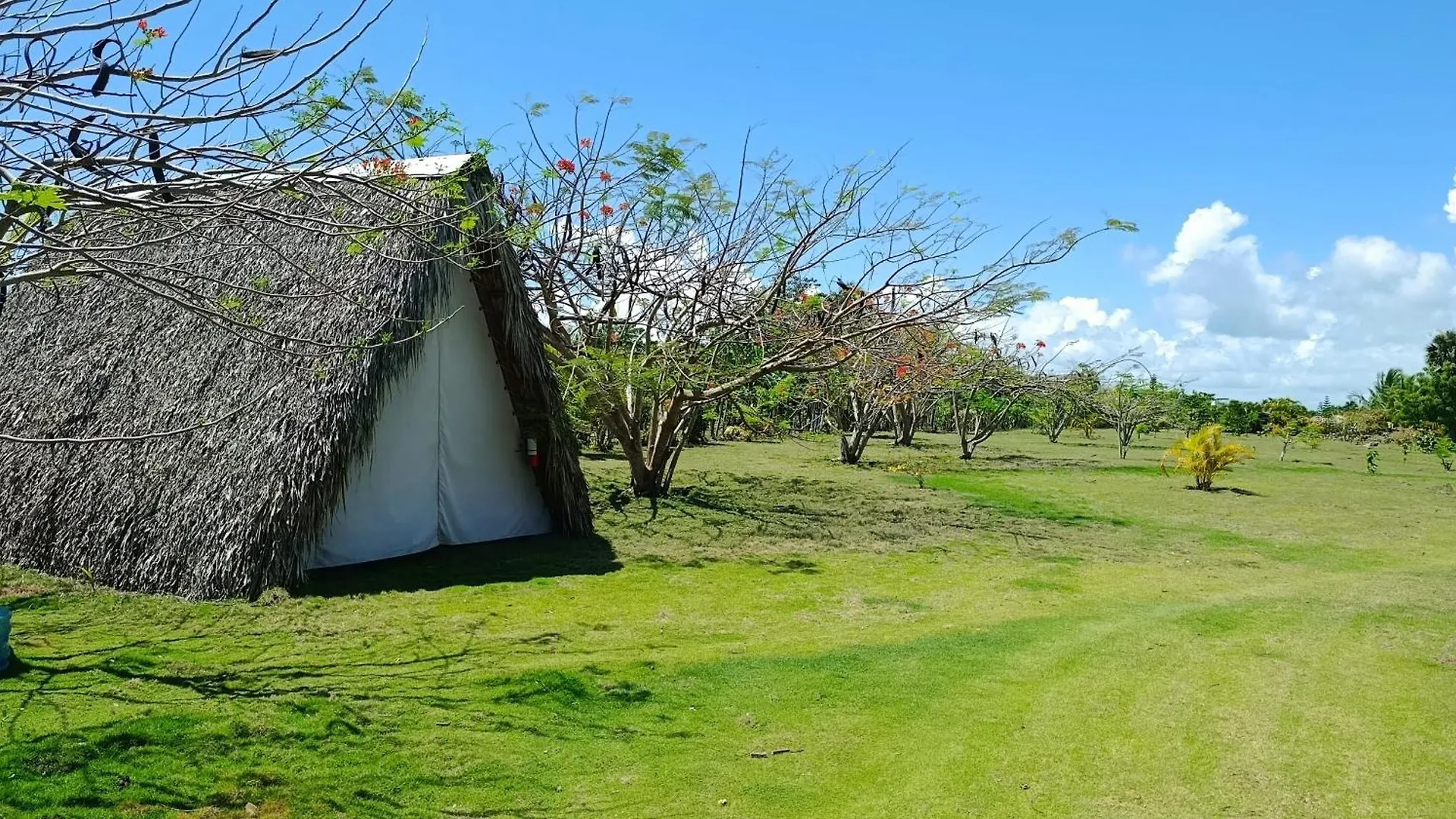 Eco Lodges & Camping Cooper Ranch Macao Beach Punta Cana