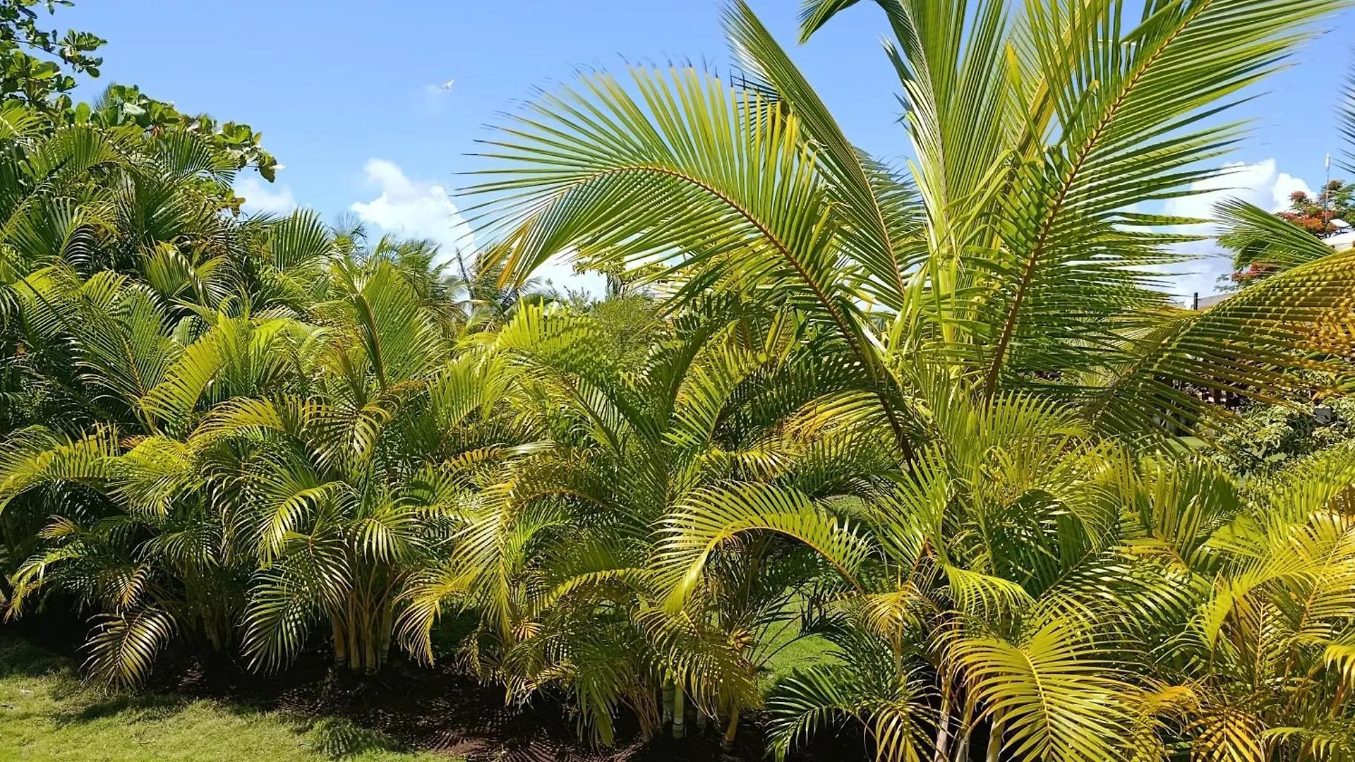 Eco Lodges & Camping Cooper Ranch Macao Beach Punta Cana