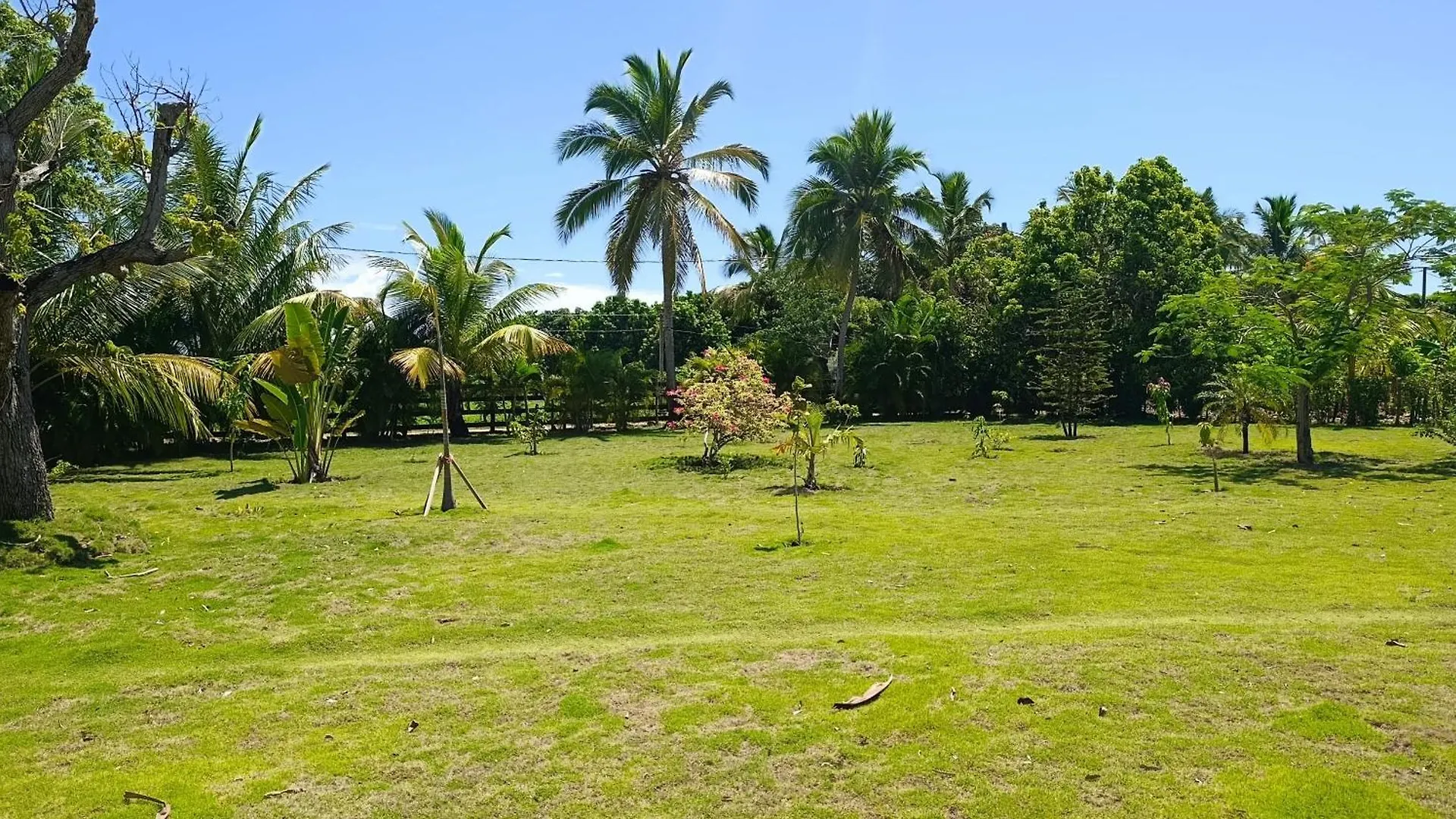 Eco Lodges & Camping Cooper Ranch Macao Beach Punta Cana