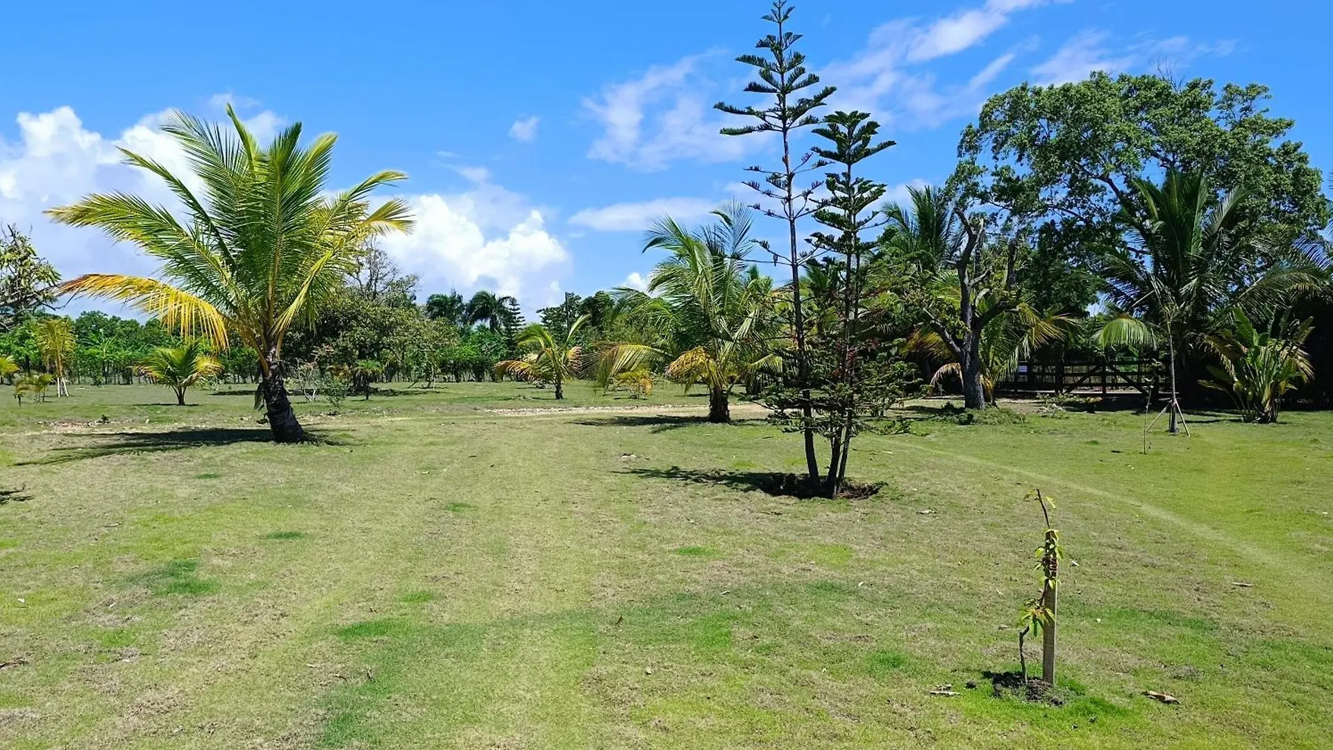 Eco Lodges & Camping Cooper Ranch Macao Beach Punta Cana