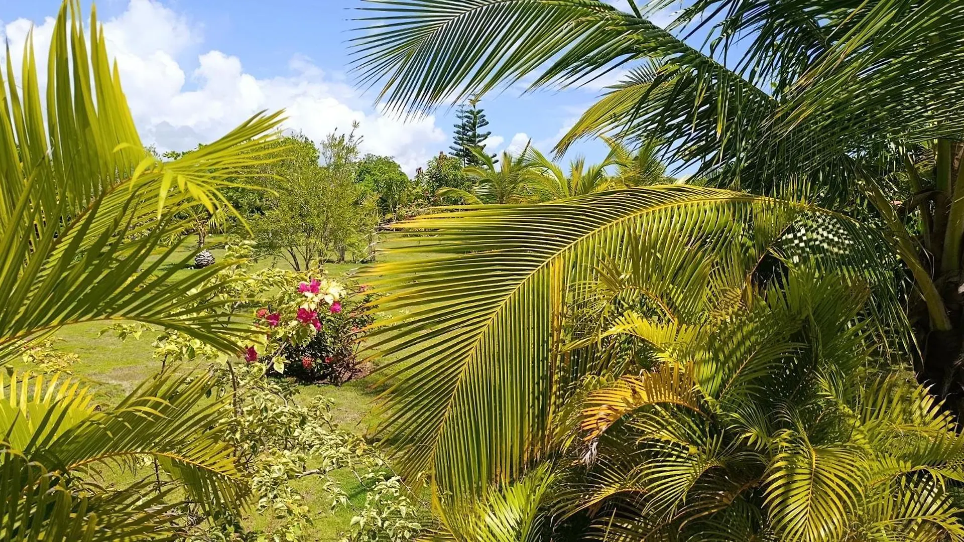 Eco Lodges & Camping Cooper Ranch Macao Beach Punta Cana 多米尼加共和国