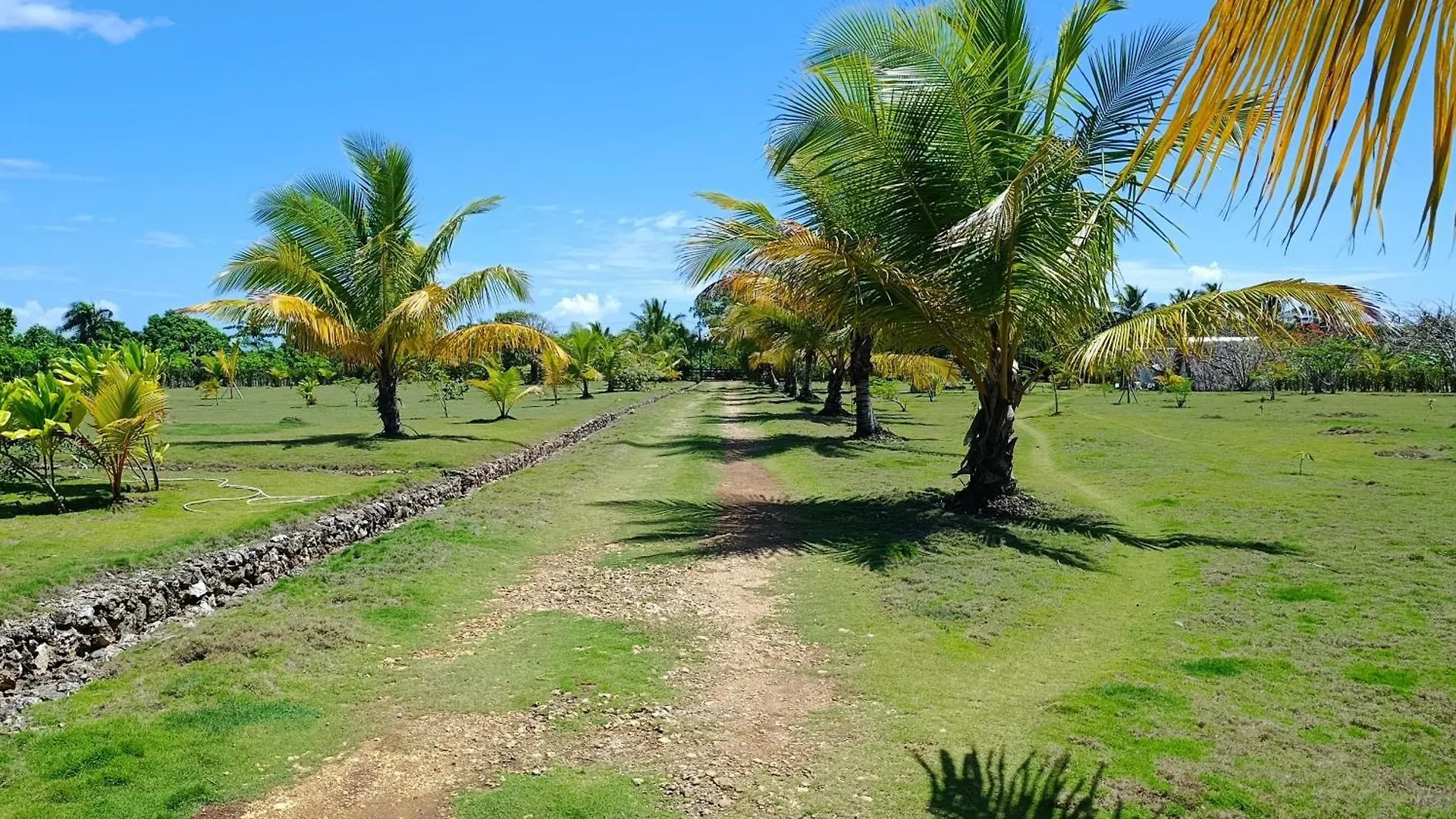 Eco Lodges & Camping Cooper Ranch Macao Beach Punta Cana