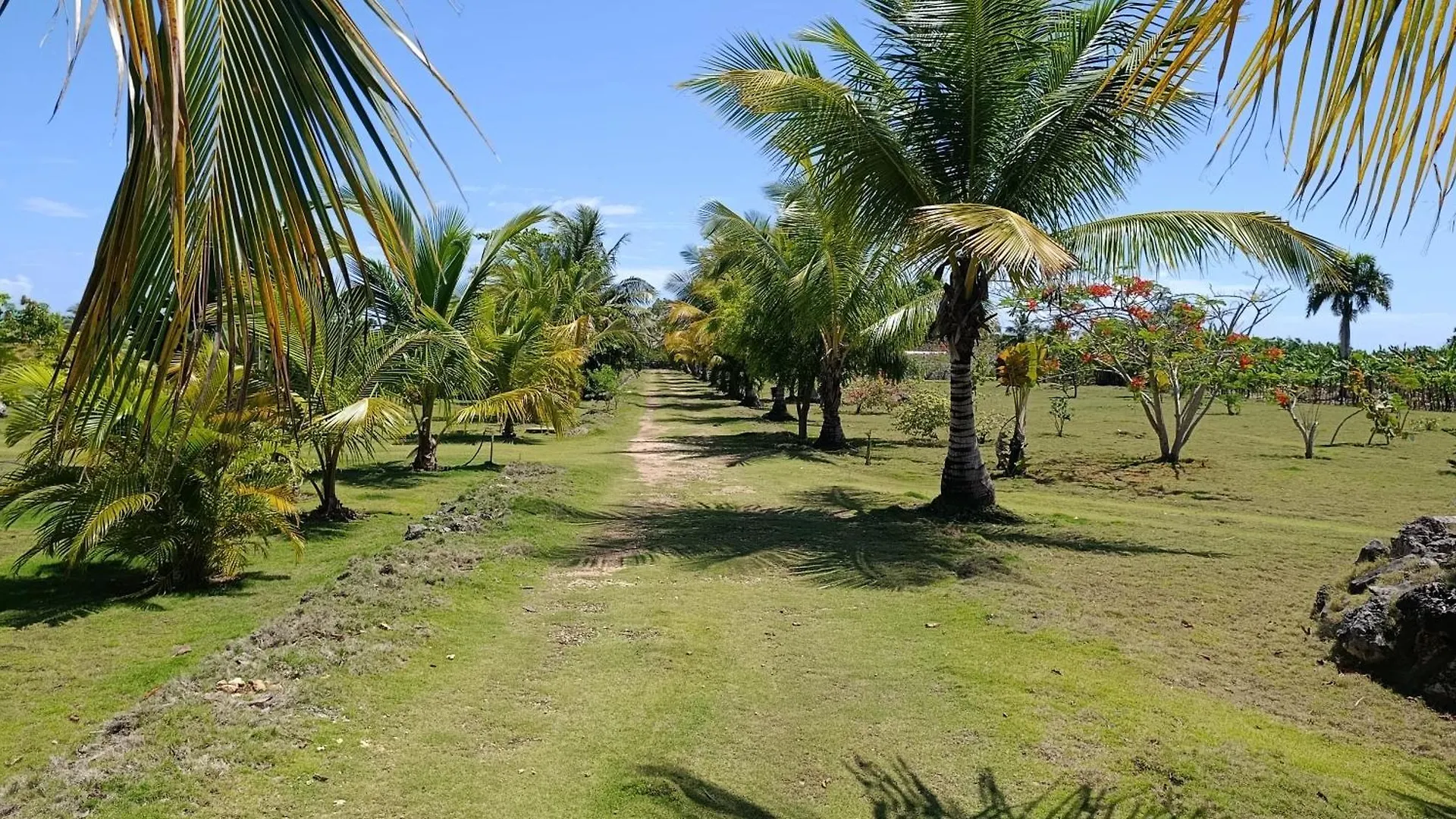 Eco Lodges & Camping Cooper Ranch Macao Beach Punta Cana