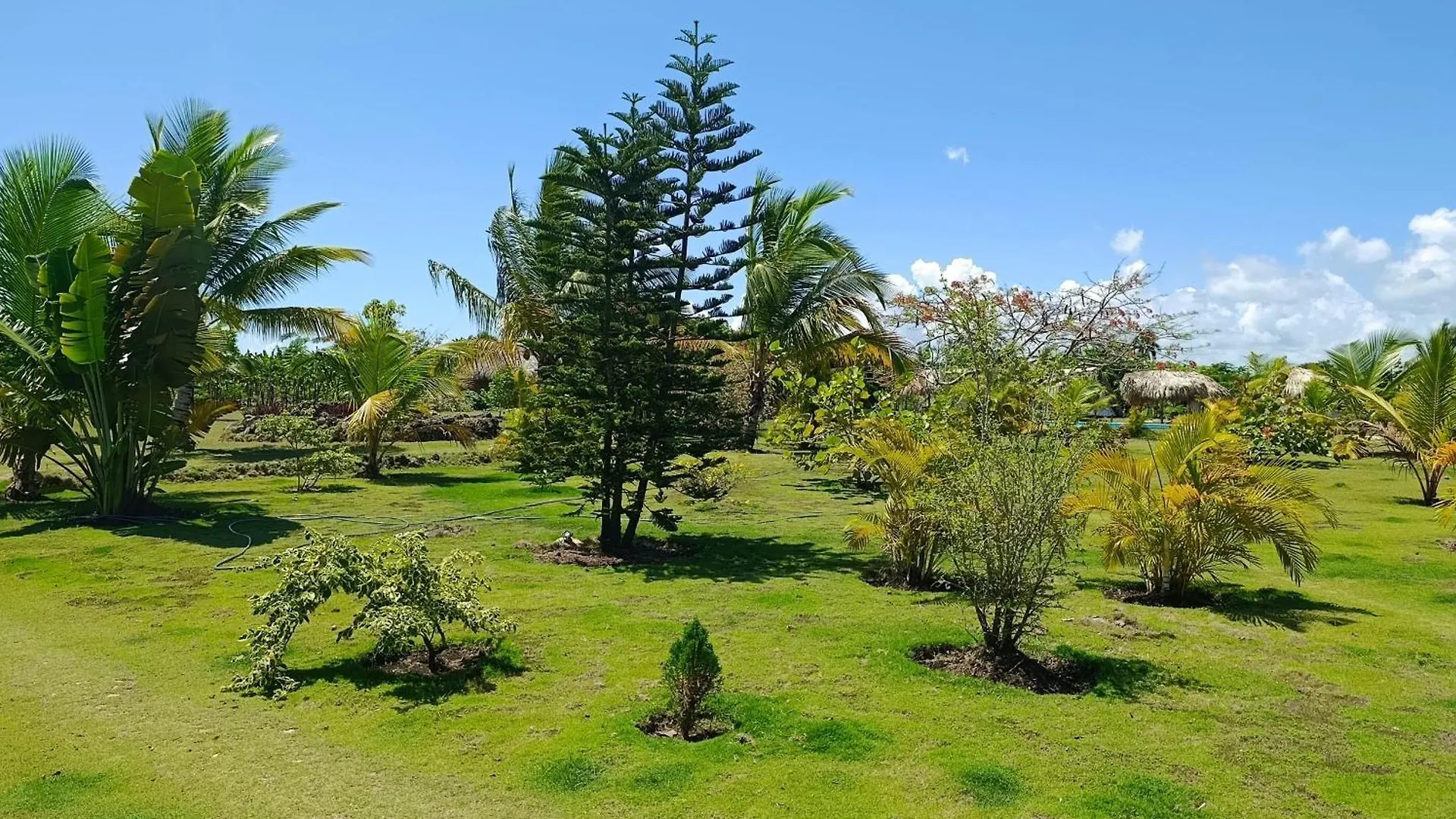 Eco Lodges & Camping Cooper Ranch Macao Beach Punta Cana