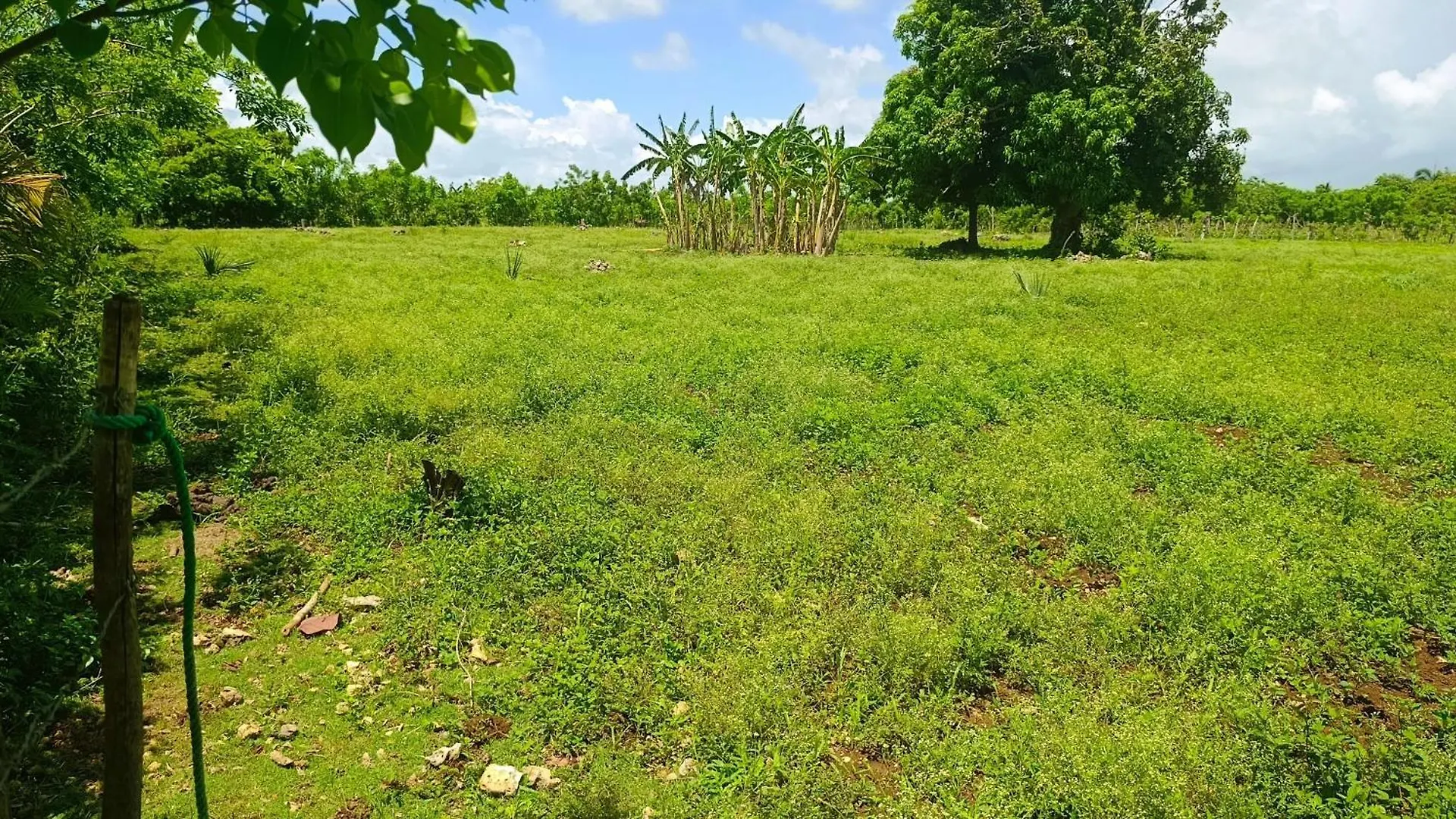 Eco Lodges & Camping Cooper Ranch Macao Beach Punta Cana