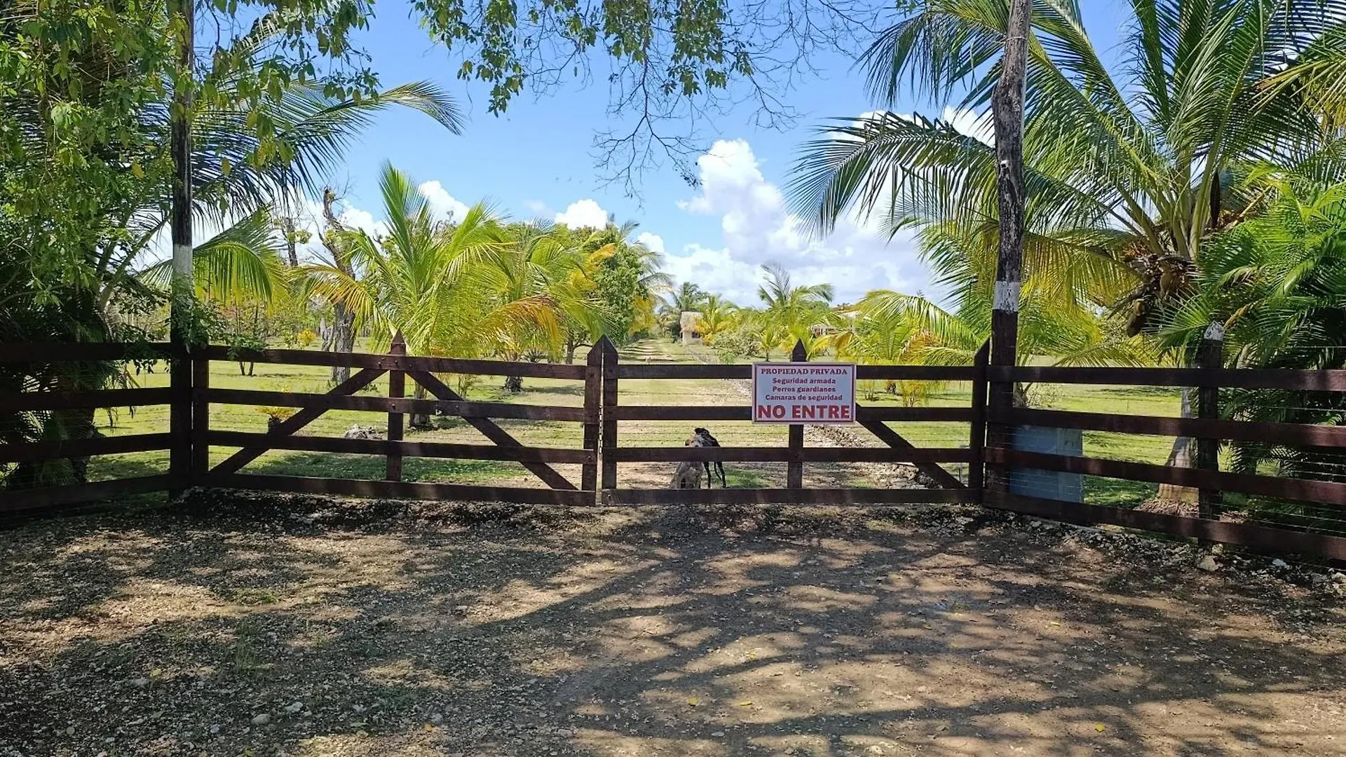 Eco Lodges & Camping Cooper Ranch Macao Beach Punta Cana 多米尼加共和国