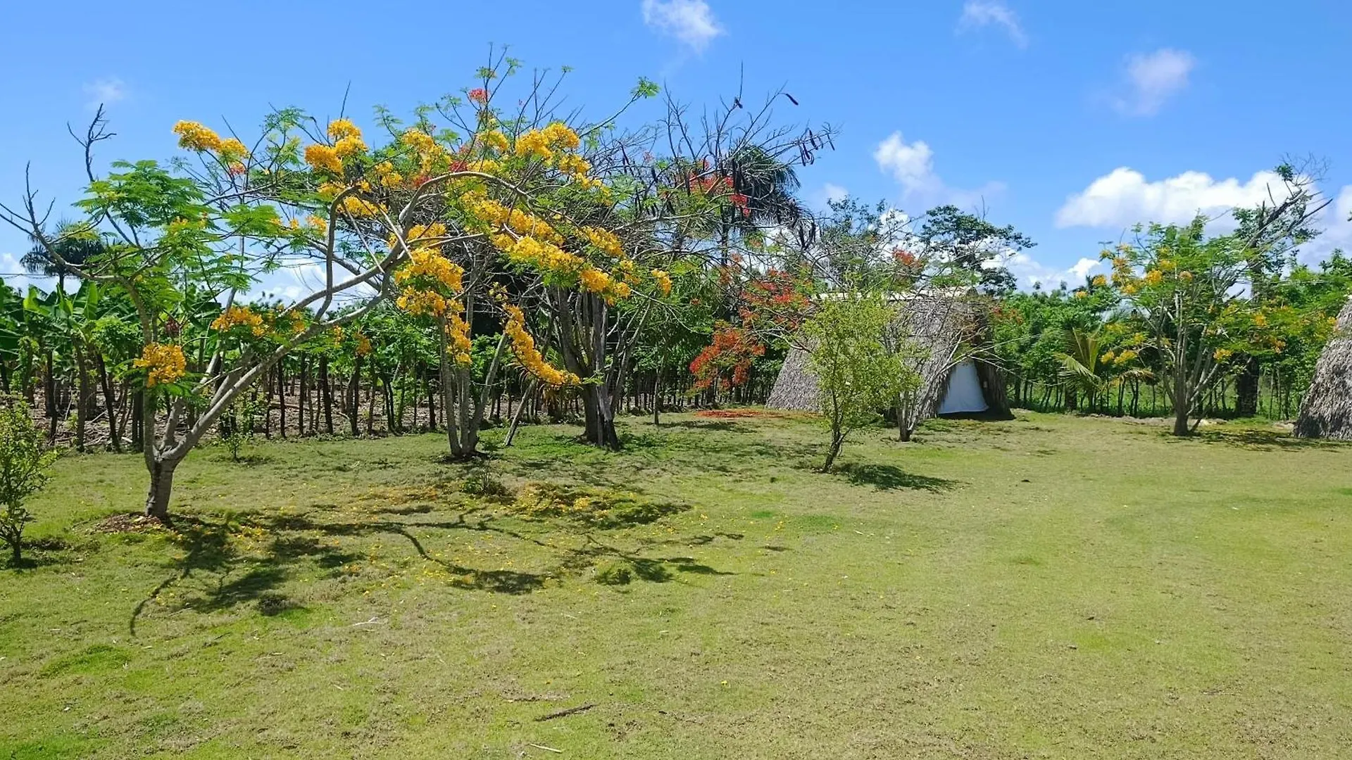 Eco Lodges & Camping Cooper Ranch Macao Beach Punta Cana 0*,  多米尼加共和国