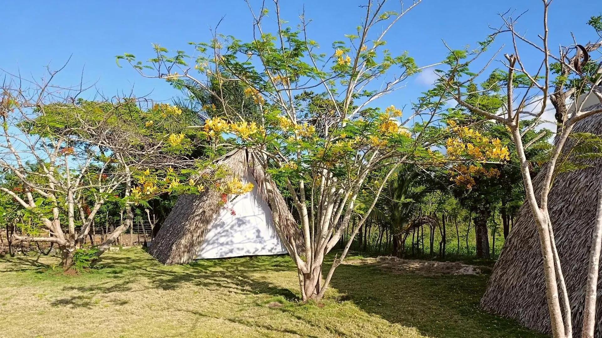 Eco Lodges & Camping Cooper Ranch Macao Beach Punta Cana