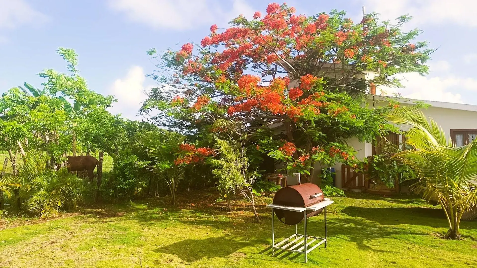 Eco Lodges & Camping Cooper Ranch Macao Beach Punta Cana 0*,