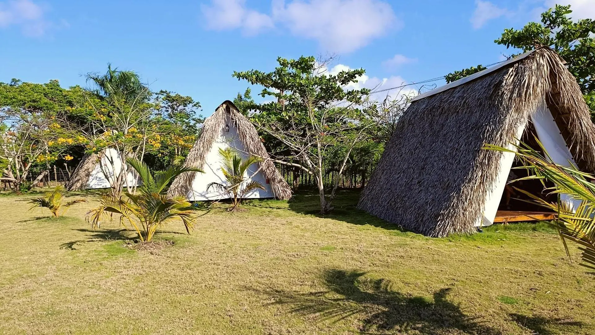 Eco Lodges & Camping Cooper Ranch Macao Beach Punta Cana