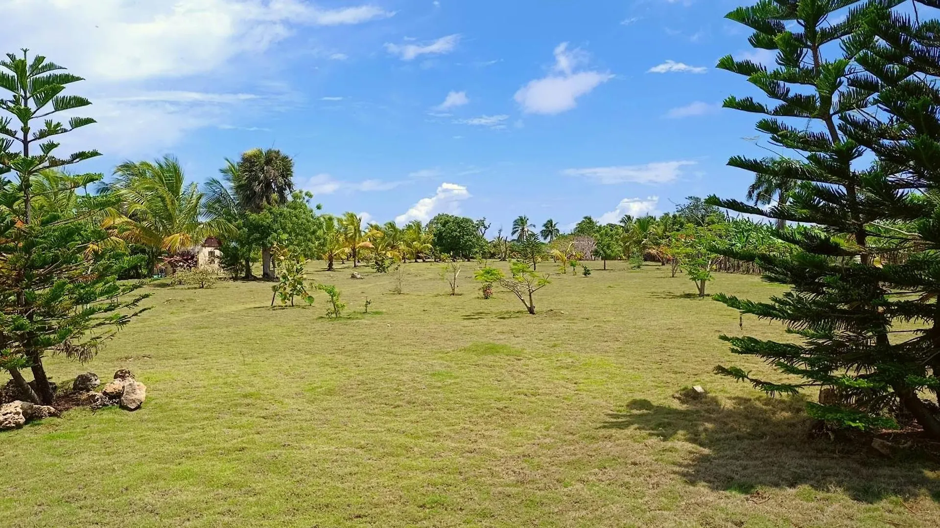 Eco Lodges & Camping Cooper Ranch Macao Beach Punta Cana 多米尼加共和国