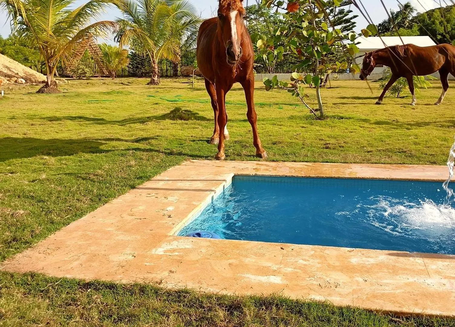 Eco Lodges & Camping Cooper Ranch Macao Beach Punta Cana 多米尼加共和国