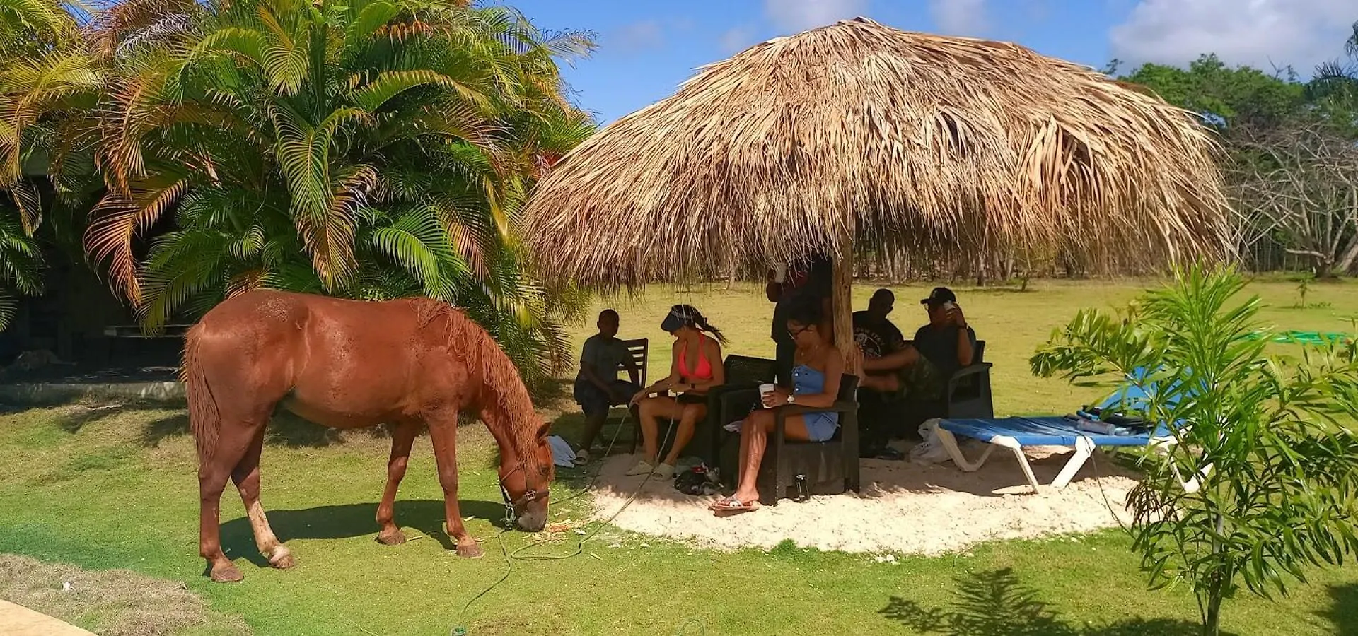 Eco Lodges & Camping Cooper Ranch Macao Beach Punta Cana