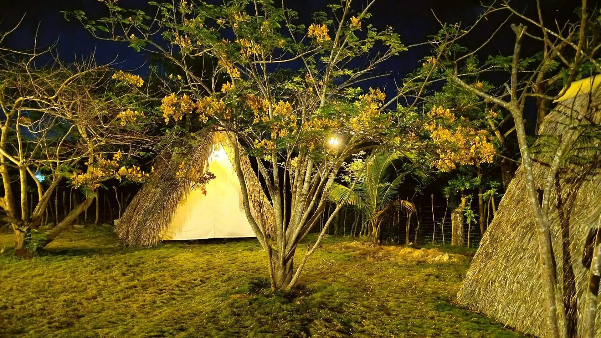 Eco Lodges & Camping Cooper Ranch Macao Beach Punta Cana