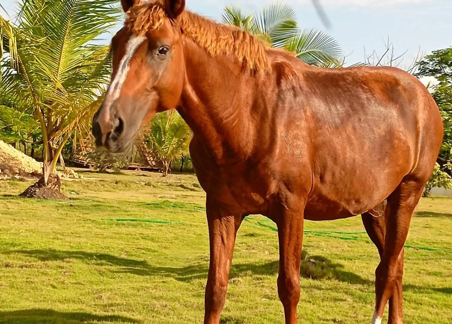 Eco Lodges & Camping Cooper Ranch Macao Beach Punta Cana