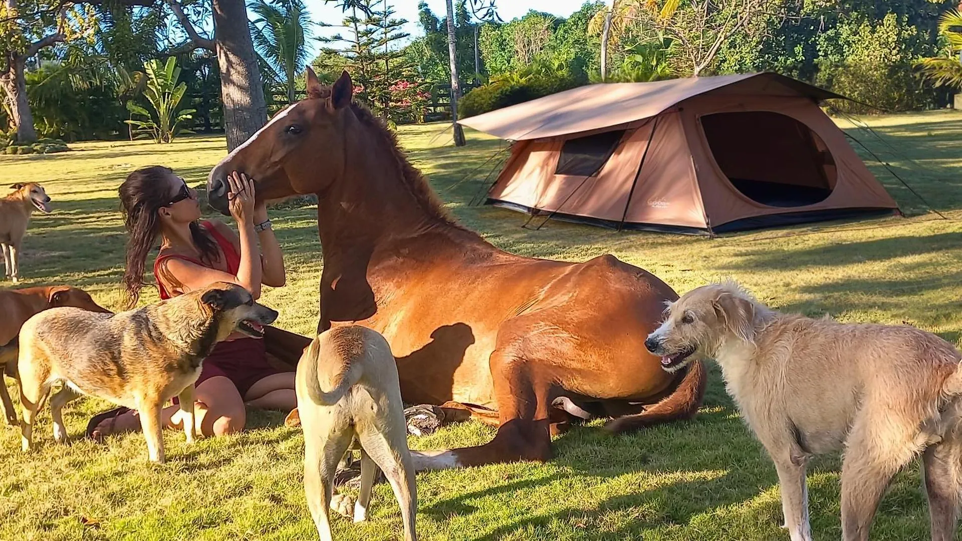 Eco Lodges & Camping Cooper Ranch Macao Beach Punta Cana