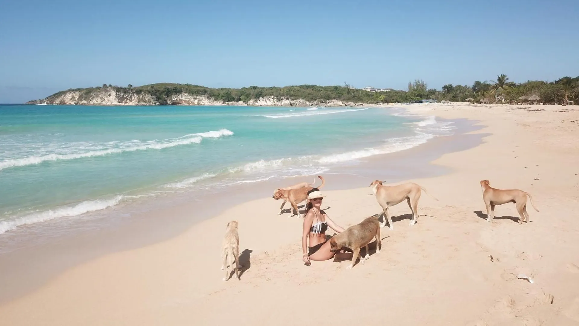 Eco Lodges & Camping Cooper Ranch Macao Beach Punta Cana 多米尼加共和国