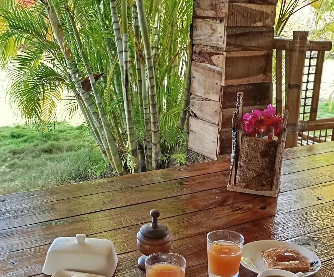Eco Lodges & Camping Cooper Ranch Macao Beach Punta Cana