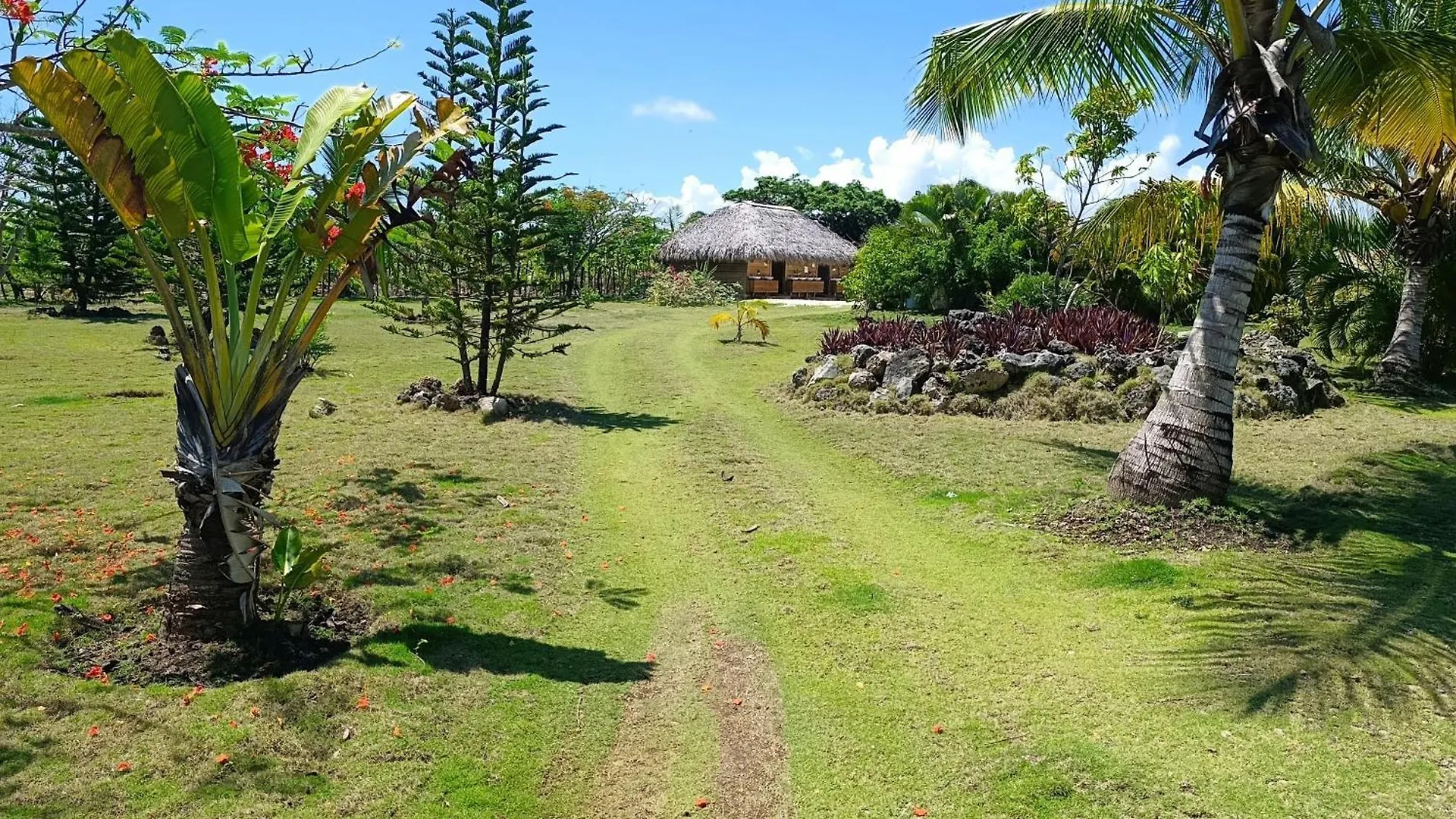 Eco Lodges & Camping Cooper Ranch Macao Beach Punta Cana Dominikanska republiken