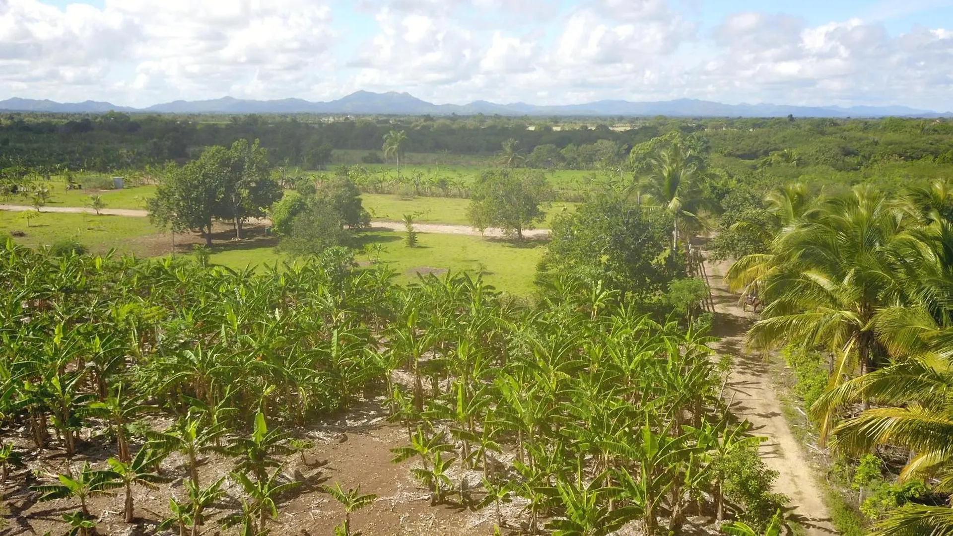 Eco Lodges & Camping Cooper Ranch Macao Beach Punta Cana Dominikanska republiken